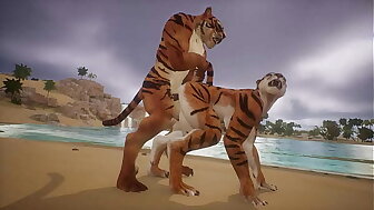 Two Tigers mate on the beach - Wildlife