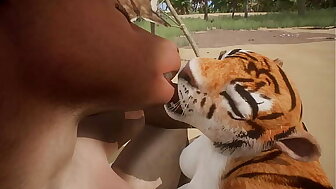 Cow and Tiger make each other squirt - Wildlife